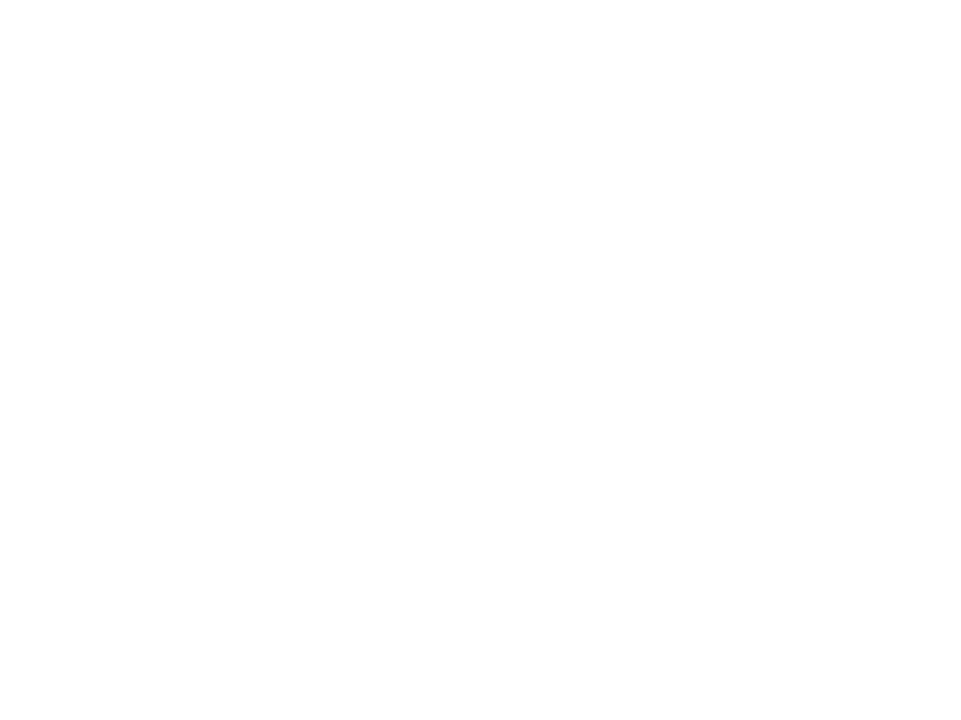 Palace-Logo-white